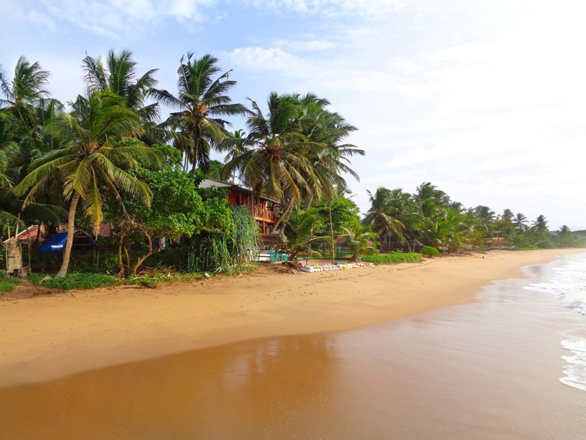 Reggae Zone Beach Resort Tangalle Exterior photo